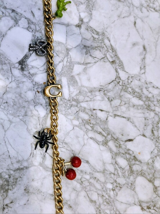 Coach Accessories - Coach Gold-Tone Charm Bracelet with Red Cherry and Black Spider Accents